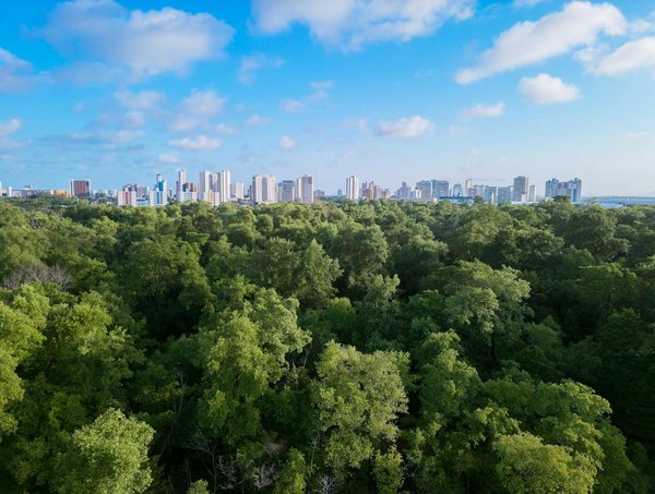 Quels sont les secrets pour capturer des portraits d'animaux de compagnie avec un smartphone ?